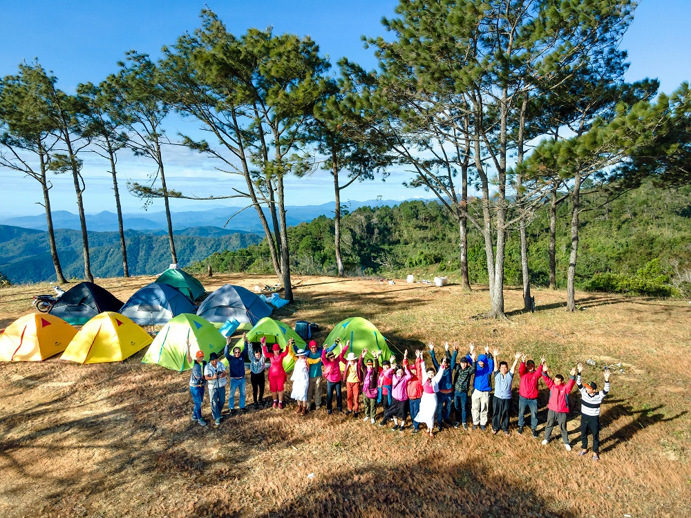 Grupos Scouts